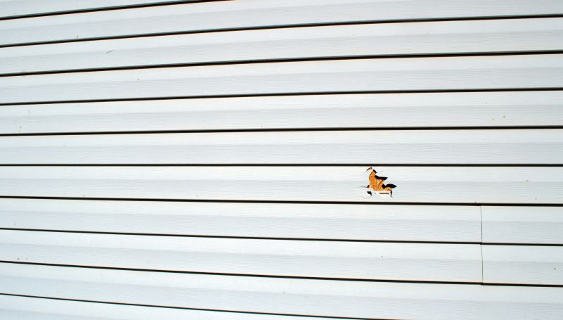 Vinyl Siding Repair - Inspection and Quality Check